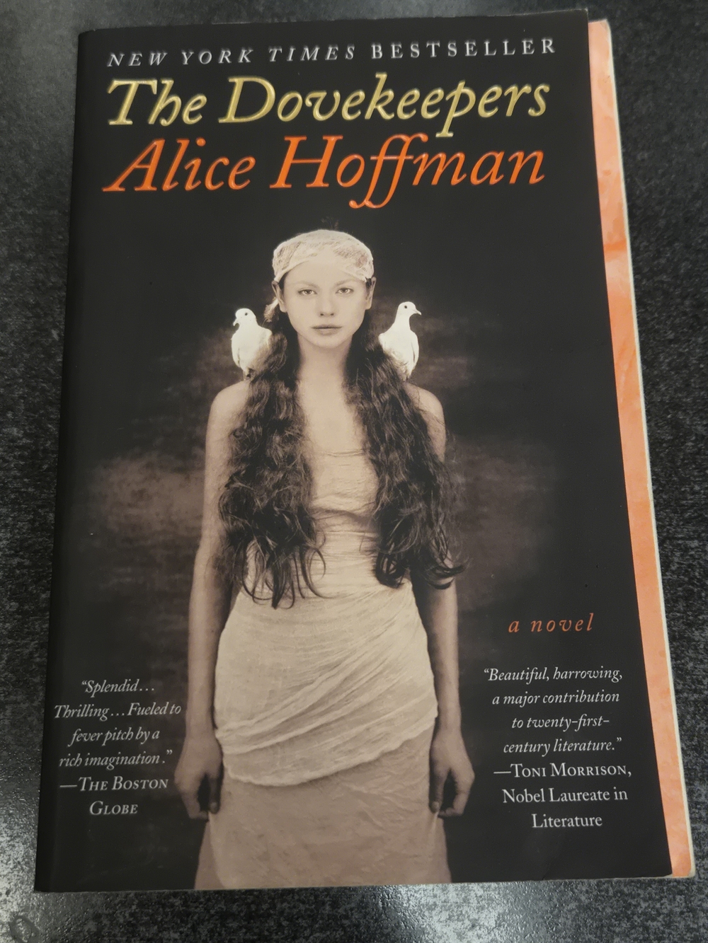 The Dovekeepers by Alice Hoffman - Black & Orange Paperback
